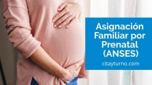 Asignación Familiar por Prenatal ANSES