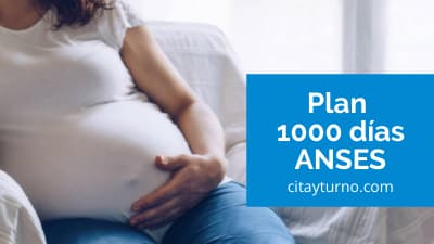 Plan 1000 ANSES